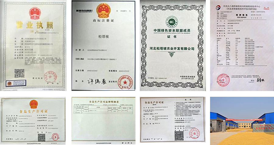 奥门新萄京8455